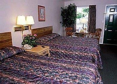 Surrey Inn 布蘭森 客房 照片